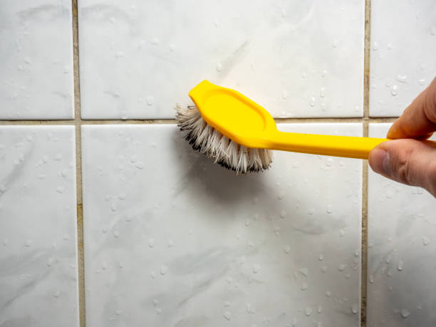Best Commercial Mold Removal  in Litchfield Beach, SC