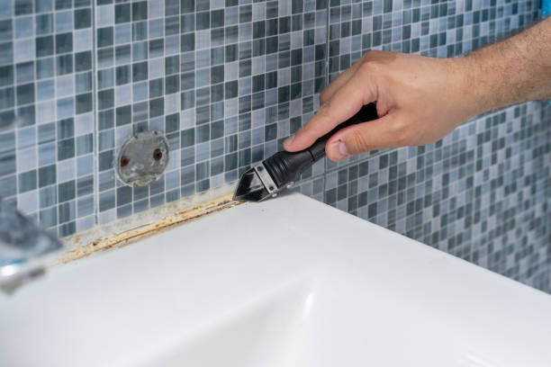 Best Toxic Mold Removal  in Litchfield Beach, SC