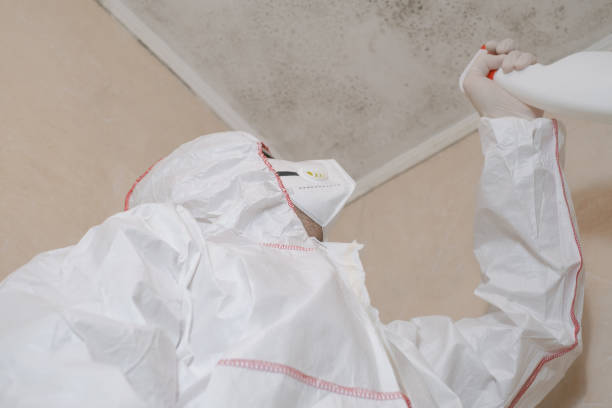 Best Mold Testing and Removal  in Litchfield Beach, SC