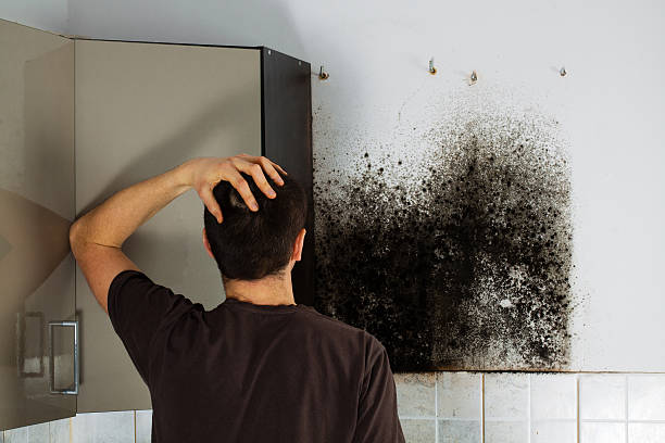 Mold Testing and Removal in Litchfield Beach, SC